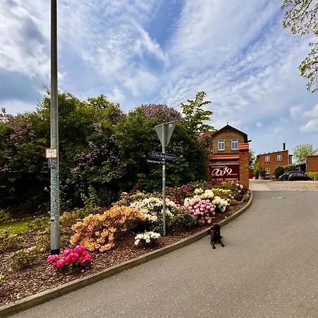 Appartement Backstein Mit Zentraler Lage Im Gruenen Kostenfreien Parkplaetzen Und 8 E - Ladestationen